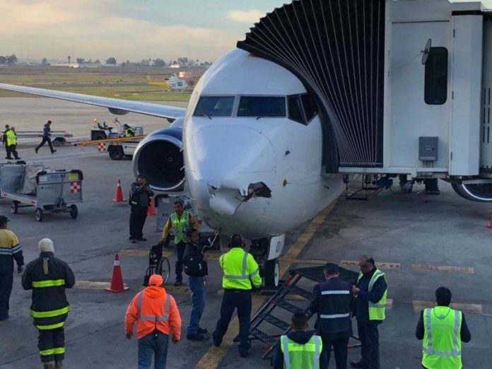 Boeing 737 passenger Plane may have collided with a drone