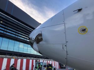 Damaged plane nose lacks blood or feathers