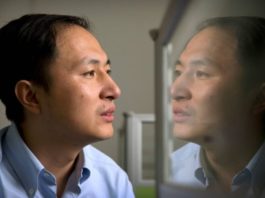 China confirms the birth of gene-edited babies from Prof He Jiankui research