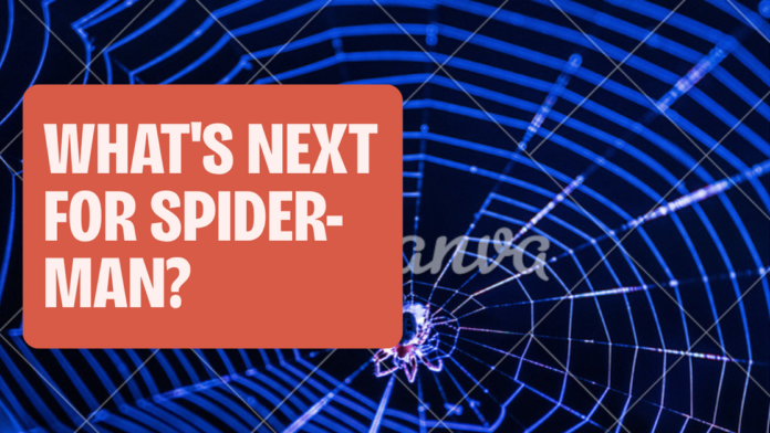 the next Spider-Man movie hero image with a spider web backdrop